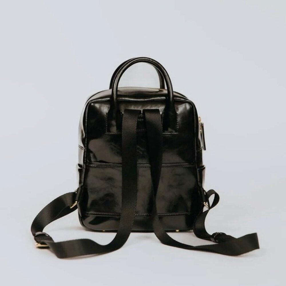 NWT Frances Valentine Small Casey Backpack GLazed Leather Black RARE - Picture 4 of 11